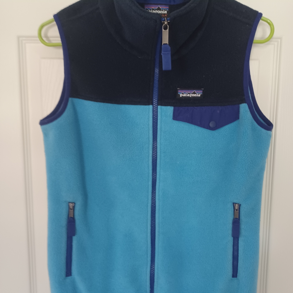 Patagonia Two-Tone Blue Fleece Vest